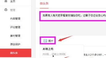 怎样发布微头条消息,让你的消息迅速传播
