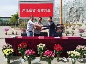 临夏2019新闻头条,聚焦重大新闻事件与民生焦点