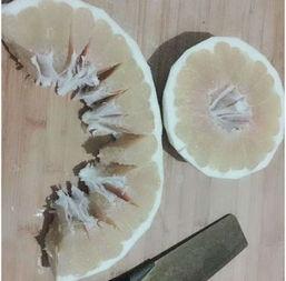 柚子的网红剥法,轻松解锁美味新姿势