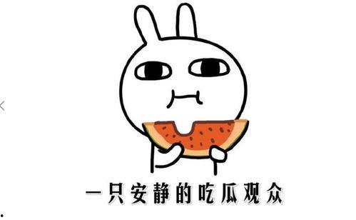 吃瓜这啥意思,网络热词背后的社会现象