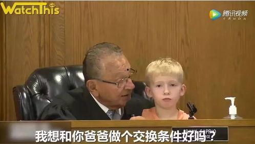 网红大法官审判视频,网络直播下的司法公正之旅